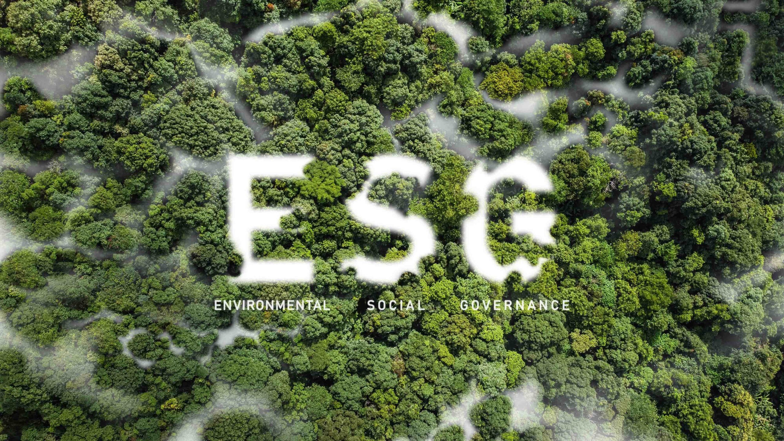 ESG is the New Value Driver for Business and Real Estate