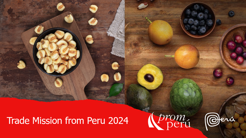 B2B Matchmaking Event con empresas peruanas