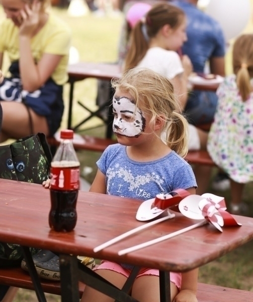 Picnic 2018