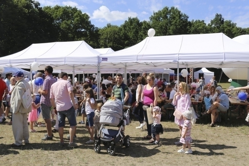 Pícnic 2017