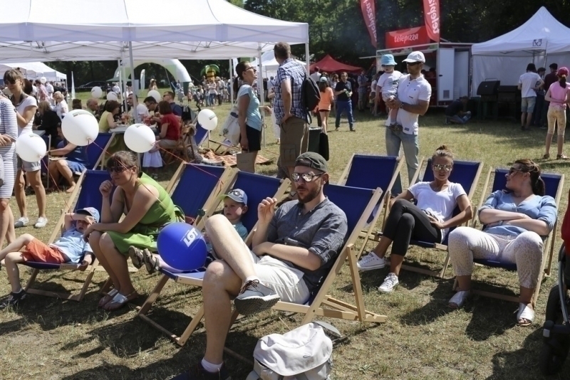 Pícnic 2017