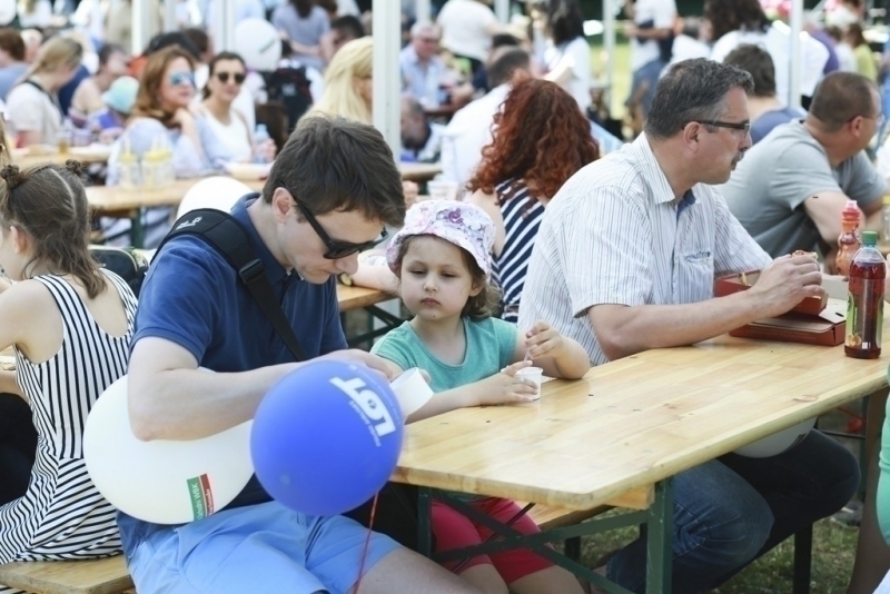 Pícnic 2017