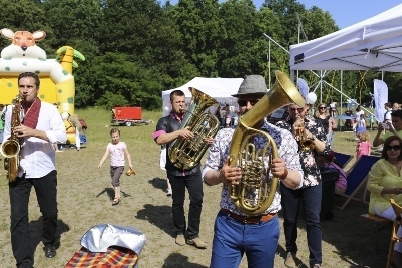 Pícnic 2017