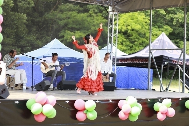 Picnic 2018