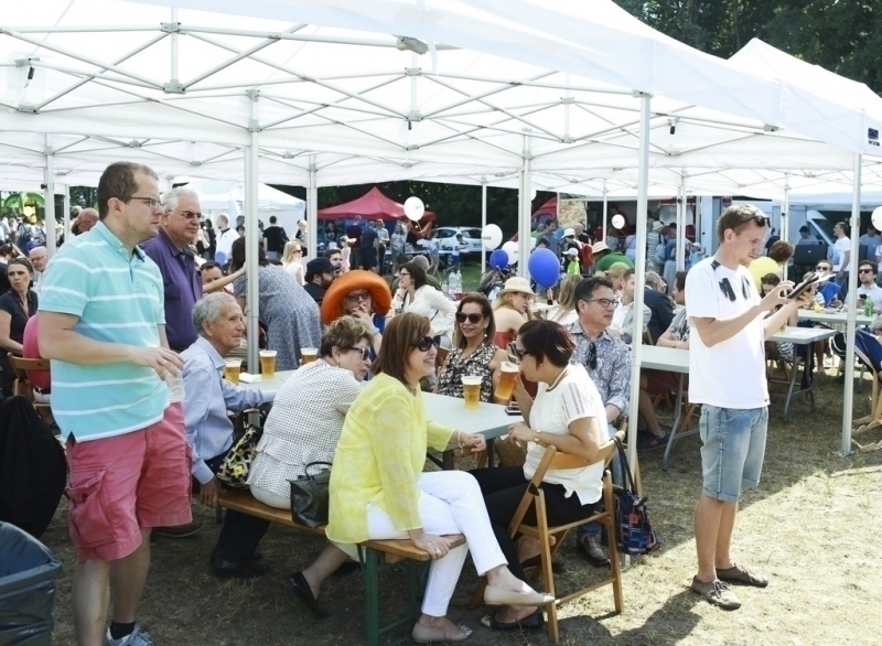 Pícnic 2017
