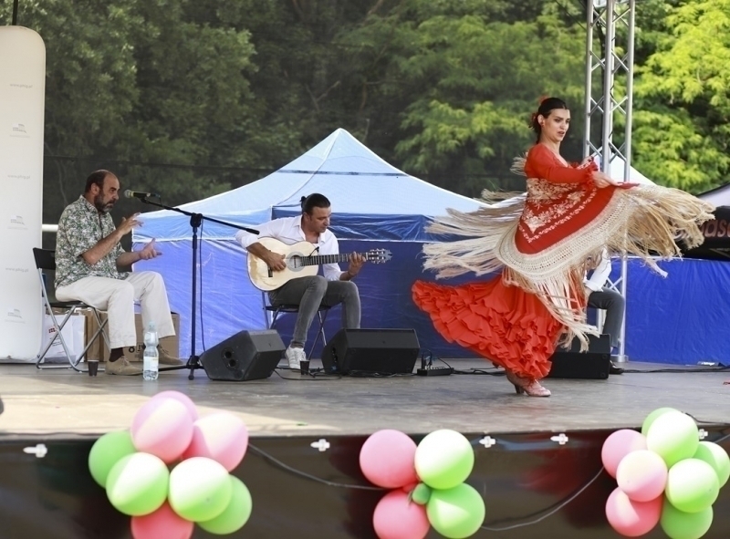 Picnic 2018