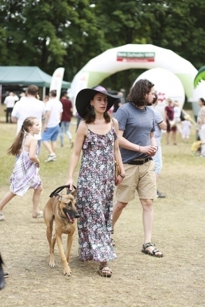 Picnic 2018