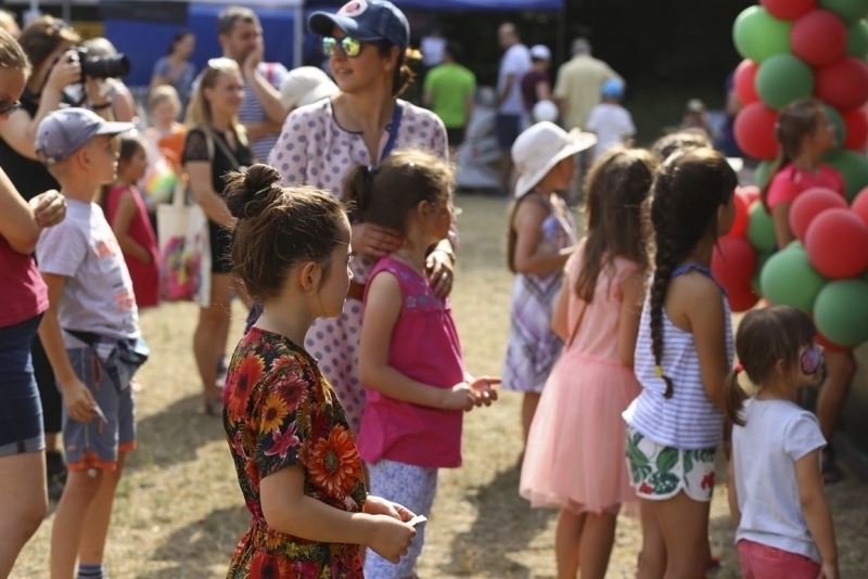 Picnic 2018