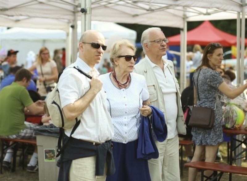 Pícnic 2017