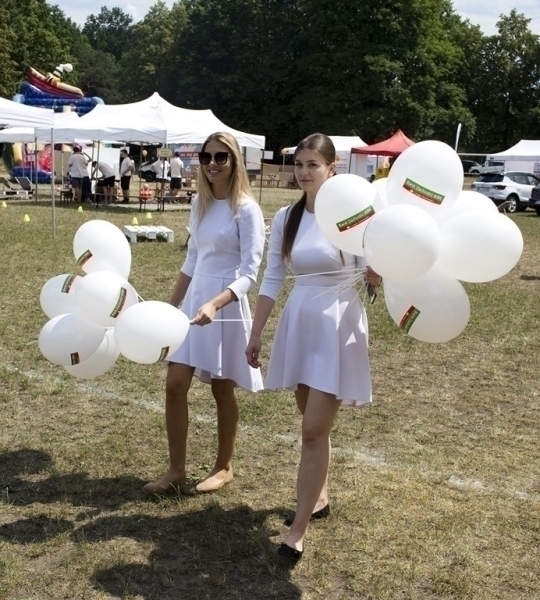 Picnic 2018