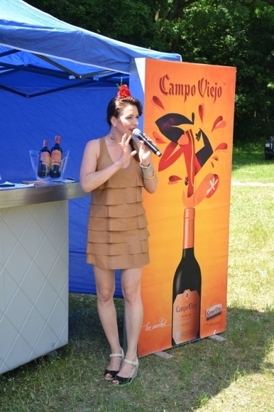 Pícnic 2017
