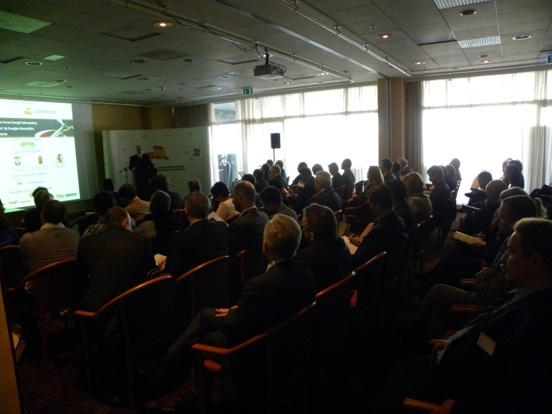 VI Foro Polaco- Espanol de Energias Renovables