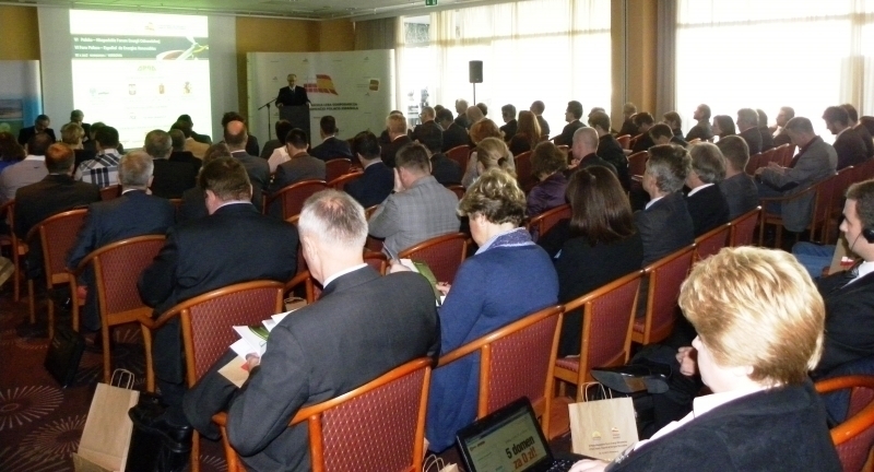 VI Foro Polaco- Espanol de Energias Renovables